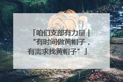 咱们支部有力量｜“有时间做黄帽子，有需求找黄帽子”