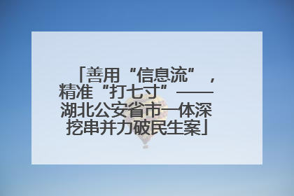 善用“信息流”，精准“打七寸”——湖北公安省市一体深挖串并力破民生案
