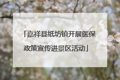 嘉祥县纸坊镇开展医保政策宣传进景区活动