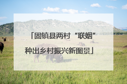 固镇县两村“联姻”种出乡村振兴新图景
