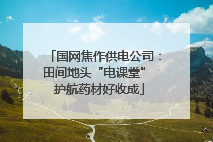 国网焦作供电公司：田间地头“电课堂” 护航药材好收成