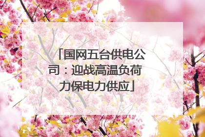 国网五台供电公司：迎战高温负荷 力保电力供应