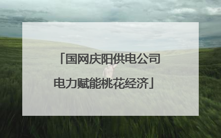 国网庆阳供电公司电力赋能桃花经济