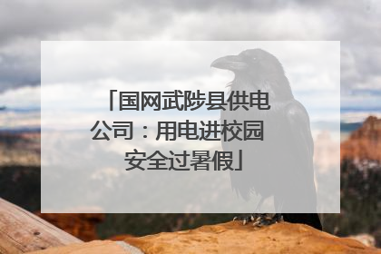 国网武陟县供电公司：用电进校园  安全过暑假