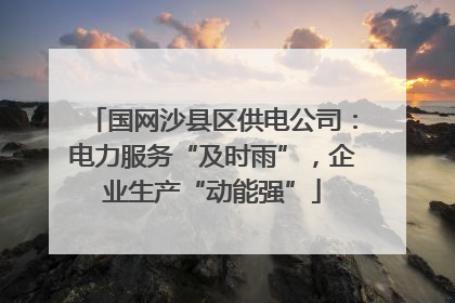 国网沙县区供电公司：电力服务“及时雨”，企业生产“动能强”