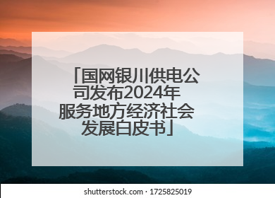 国网银川供电公司发布2024年服务地方经济社会发展白皮书