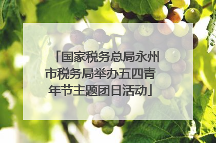 国家税务总局永州市税务局举办五四青年节主题团日活动
