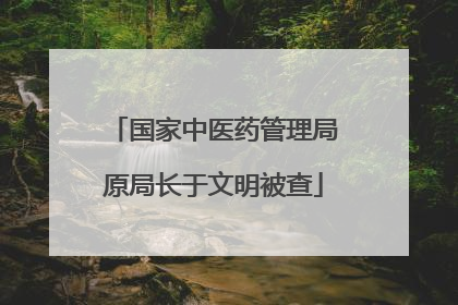 国家中医药管理局原局长于文明被查