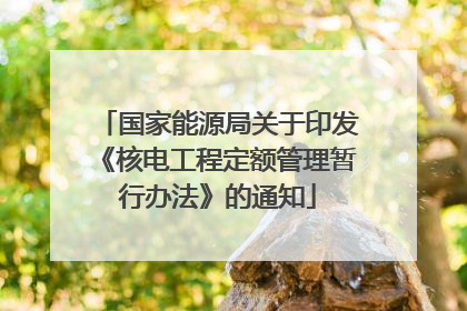 国家能源局关于印发《核电工程定额管理暂行办法》的通知