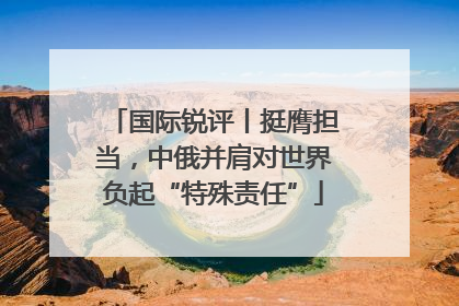 国际锐评丨挺膺担当，中俄并肩对世界负起“特殊责任”
