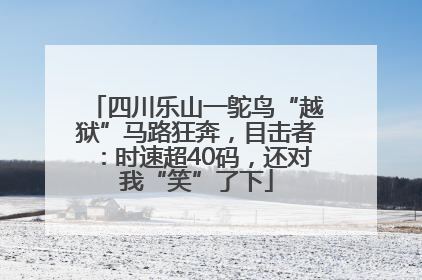 四川乐山一鸵鸟“越狱”马路狂奔，目击者：时速超40码，还对我“笑”了下