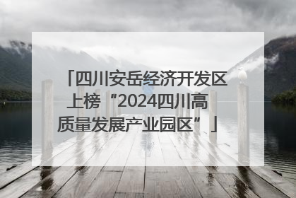 四川安岳经济开发区上榜“2024四川高质量发展产业园区”