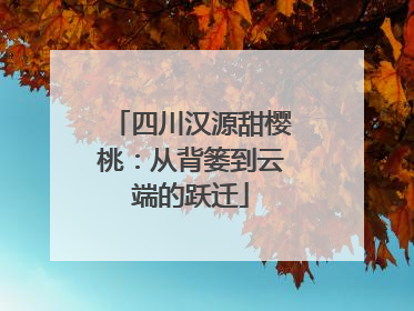 四川汉源甜樱桃：从背篓到云端的跃迁