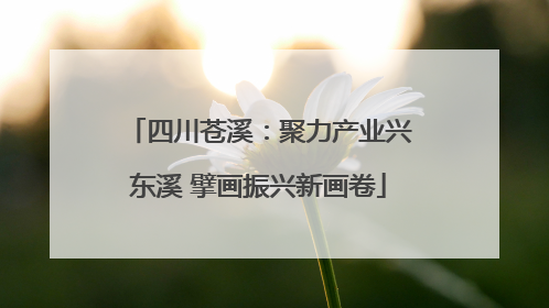 四川苍溪：聚力产业兴东溪 擘画振兴新画卷