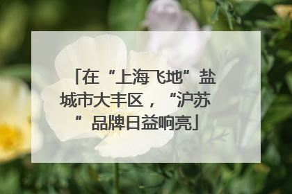 在“上海飞地”盐城市大丰区，“沪苏”品牌日益响亮