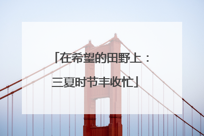 在希望的田野上：三夏时节丰收忙