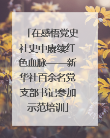 在感悟党史社史中赓续红色血脉——新华社百余名党支部书记参加示范培训