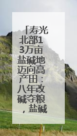 寿光北部13万亩盐碱地迈向高产田：八年改碱夺粮，盐碱滩拱起“金粮仓”