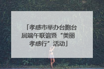 孝感市举办台胞台属端午联谊暨“美丽孝感行”活动