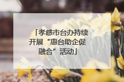 孝感市台办持续开展“惠台助企促融合”活动
