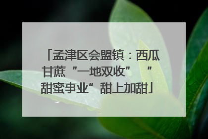 孟津区会盟镇：西瓜甘蔗“一地双收” “甜蜜事业”甜上加甜