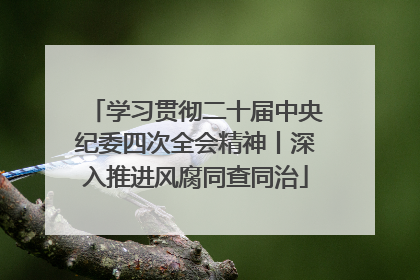学习贯彻二十届中央纪委四次全会精神丨深入推进风腐同查同治