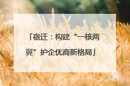 宿迁：构建“一核两翼”护企优商新格局