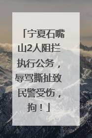 宁夏石嘴山2人阻拦执行公务，辱骂撕扯致民警受伤，拘！
