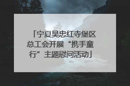 宁夏吴忠红寺堡区总工会开展“携手童行”主题慰问活动
