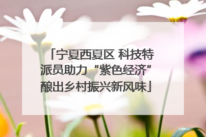 宁夏西夏区 科技特派员助力“紫色经济”酿出乡村振兴新风味