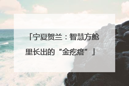 宁夏贺兰：智慧方舱里长出的“金疙瘩”