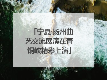 宁夏·扬州曲艺交流展演在青铜峡精彩上演