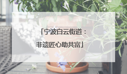 宁波白云街道：非遗匠心助共富