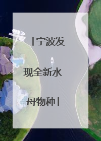 宁波发现全新水母物种