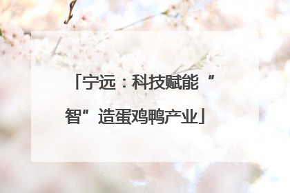 宁远：科技赋能“智”造蛋鸡鸭产业