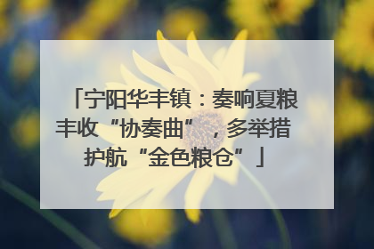 宁阳华丰镇：奏响夏粮丰收“协奏曲”，多举措护航“金色粮仓”