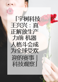 宇树科技王兴兴：真正解放生产力前 机器人格斗会成为全球受欢迎的赛事｜科技观察
