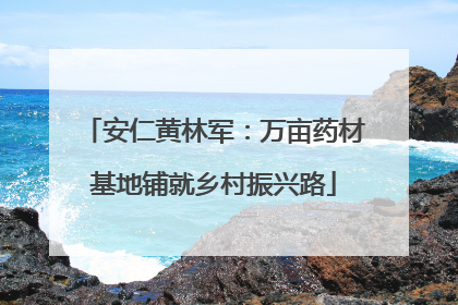 安仁黄林军：万亩药材基地铺就乡村振兴路