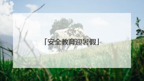安全教育迎暑假