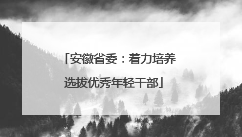 安徽省委：着力培养选拔优秀年轻干部