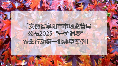 安徽省阜阳市市场监管局公布2025“守护消费”铁拳行动第一批典型案例