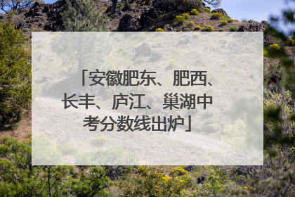 安徽肥东、肥西、长丰、庐江、巢湖中考分数线出炉