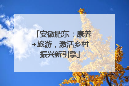 安徽肥东：康养+旅游，激活乡村振兴新引擎