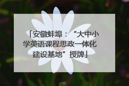安徽蚌埠：“大中小学英语课程思政一体化建设基地”授牌
