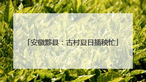 安徽黟县：古村夏日插秧忙