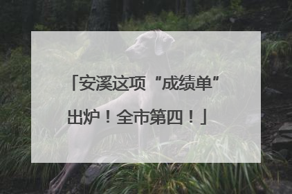 安溪这项“成绩单”出炉！全市第四！