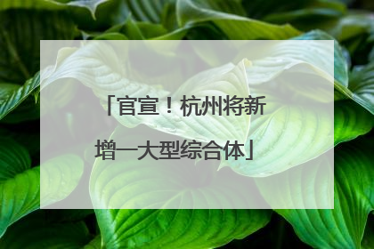 官宣！杭州将新增一大型综合体