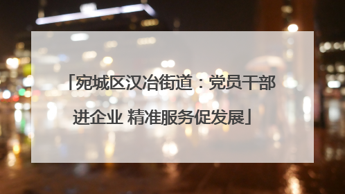 宛城区汉冶街道：党员干部进企业 精准服务促发展