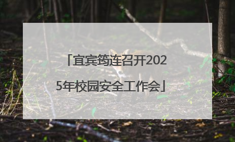 宜宾筠连召开2025年校园安全工作会