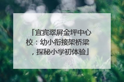宜宾翠屏金坪中心校：幼小衔接架桥梁，探秘小学初体验
